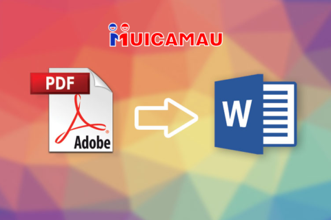 5 công cụ chuyển PDF sang Word trực tuyến miễn phí