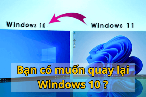 Người dùng không thích hạ từ Windows 11 xuống Windows 10 lý do vì sao